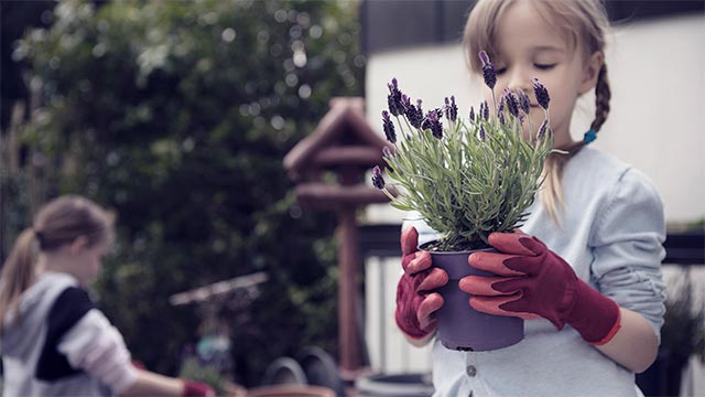 Couple hugging in kitchen